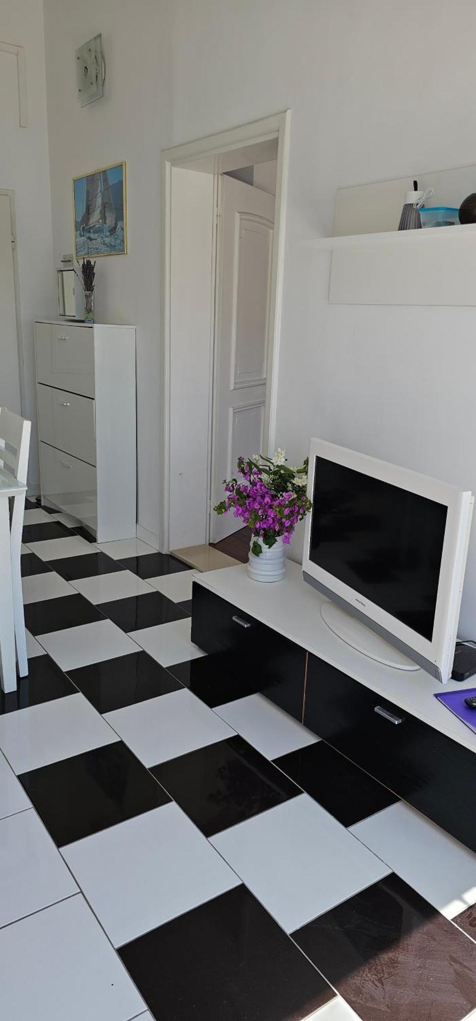 Apartment Stegic *